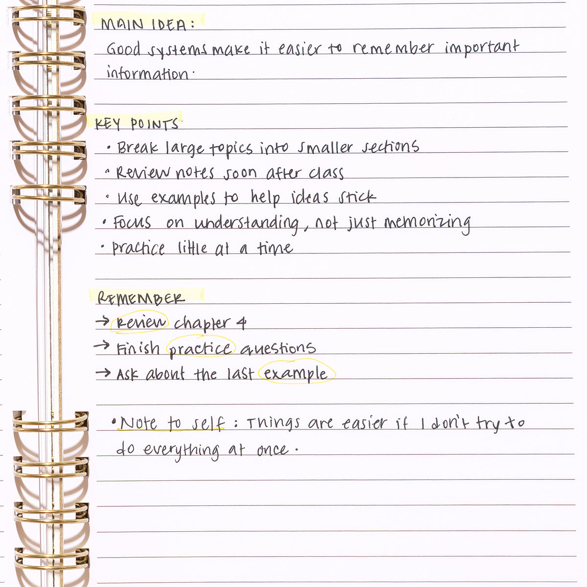 Daily Notes notebook with handwritten study notes, highlighted key points, and a date tracker.