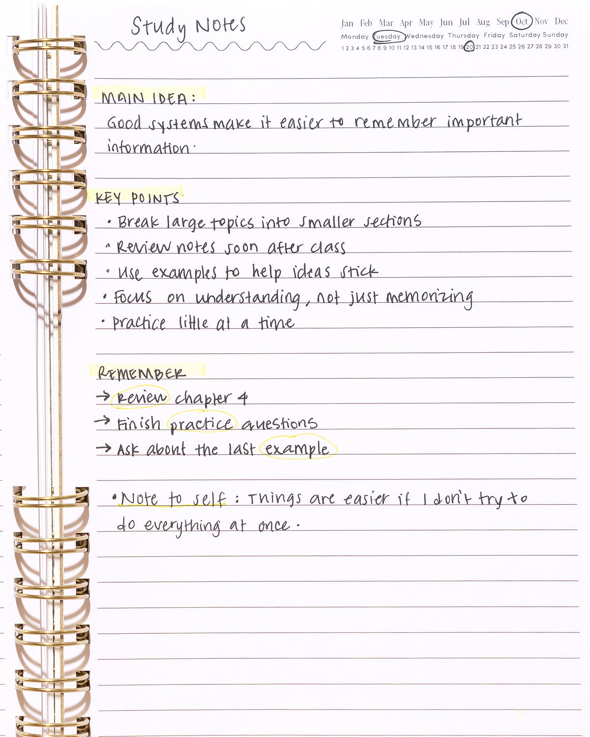 Daily Notes notebook with handwritten study notes, highlighted key points, and a date tracker.