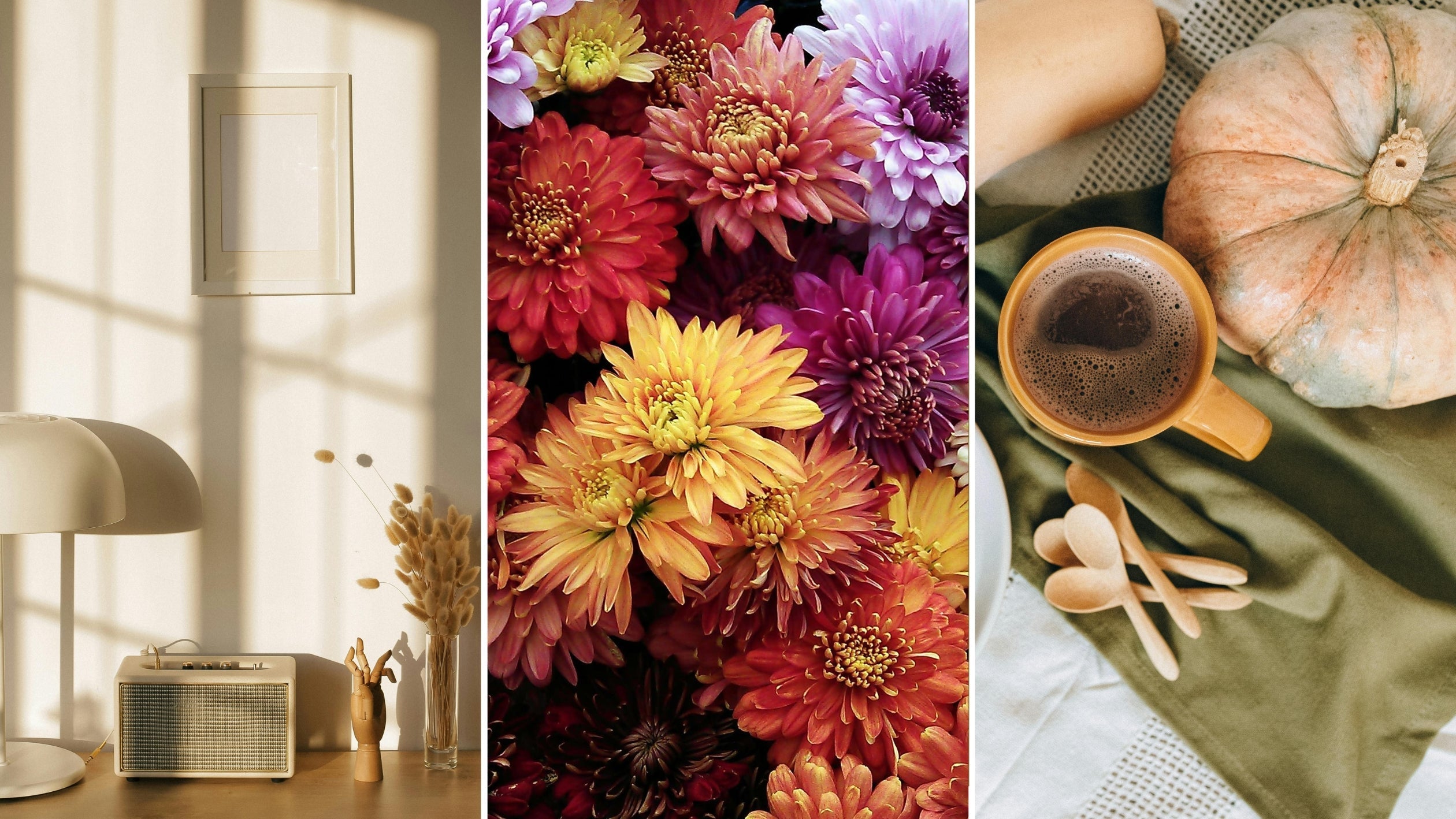 November Refresh: Freebies, Inspiration, and Planning Tools to Ease into the Season