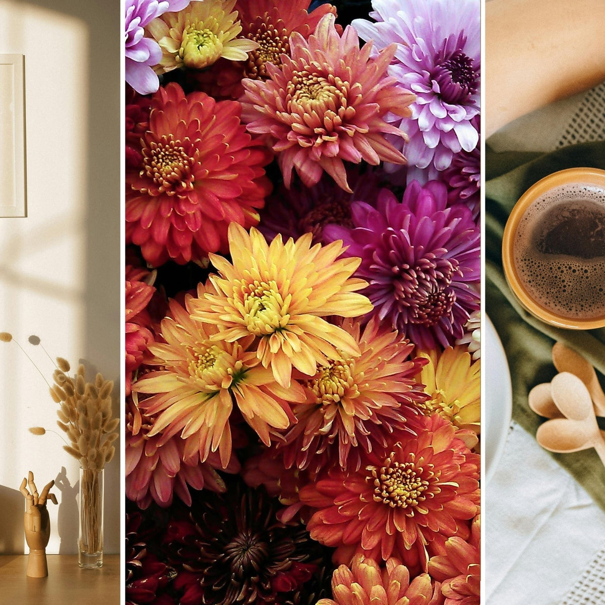 November Refresh: Freebies, Inspiration, and Planning Tools to Ease in ...