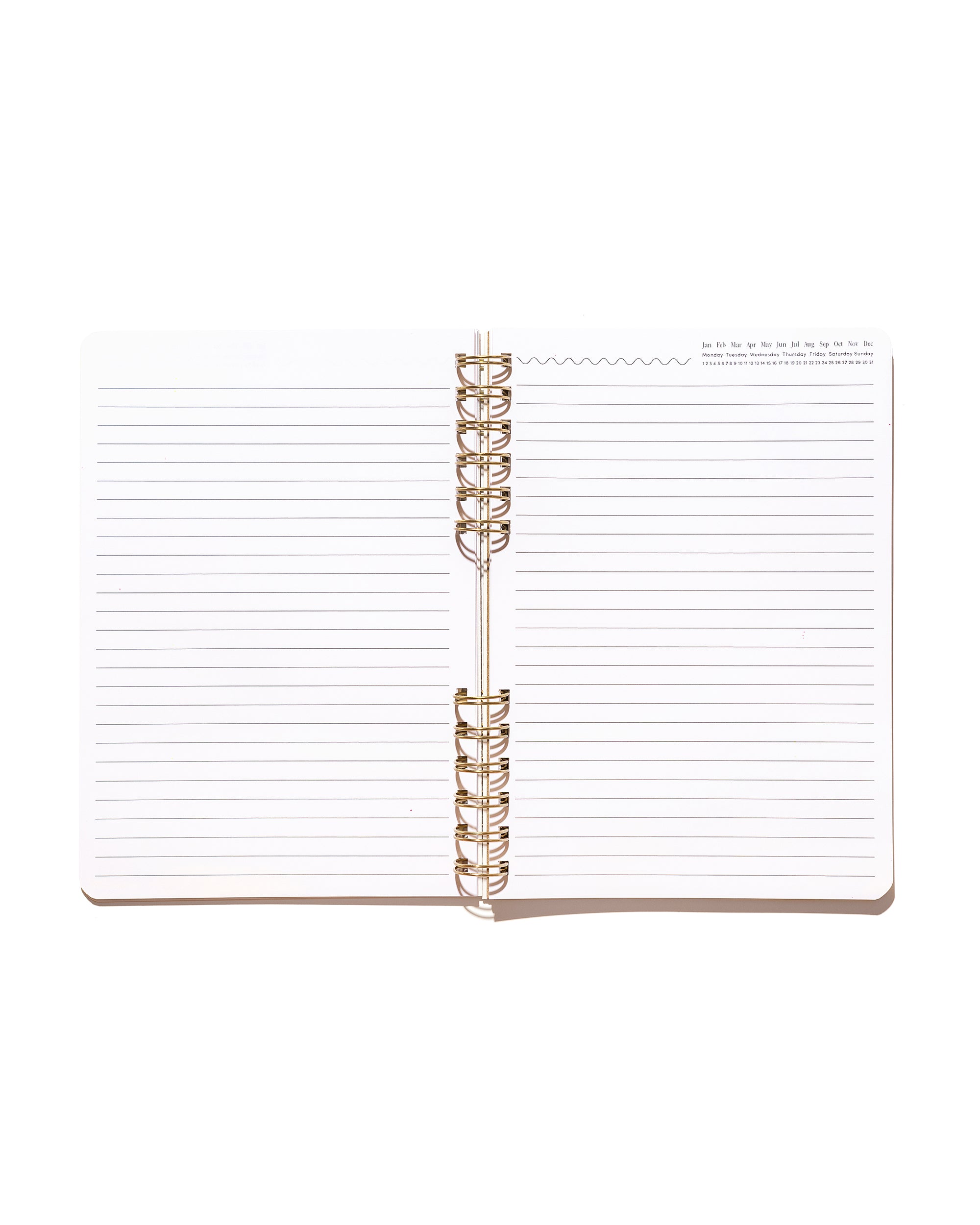 Open Daily Notes notebook showing blank lined pages, a printed date tracker, and gold split-spiral binding.