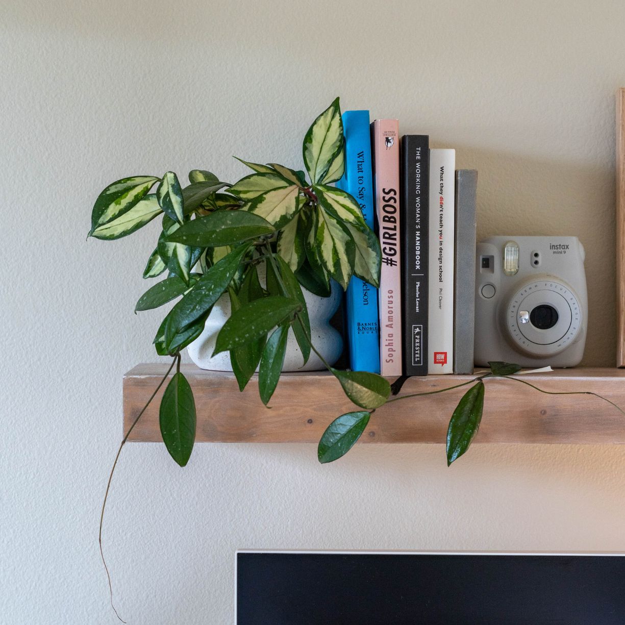 wall shelf with plant and books